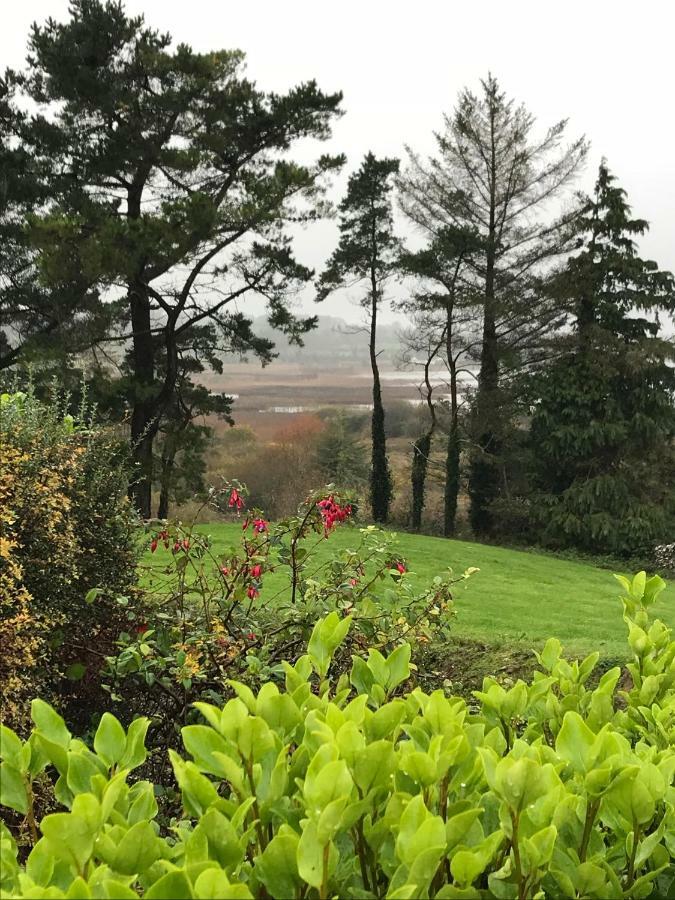 Mick'S Cottage Loughrea Luaran gambar