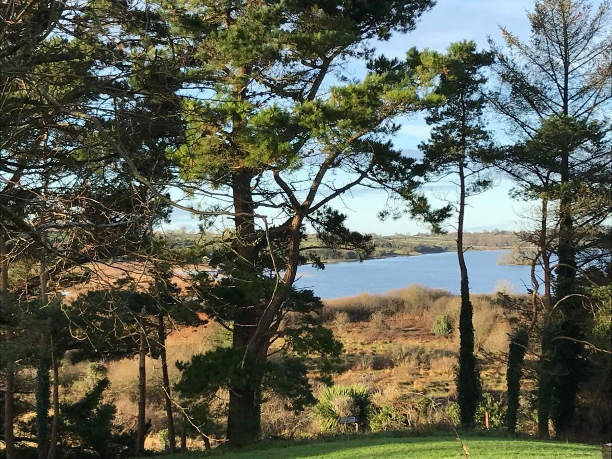 Mick'S Cottage Loughrea Luaran gambar