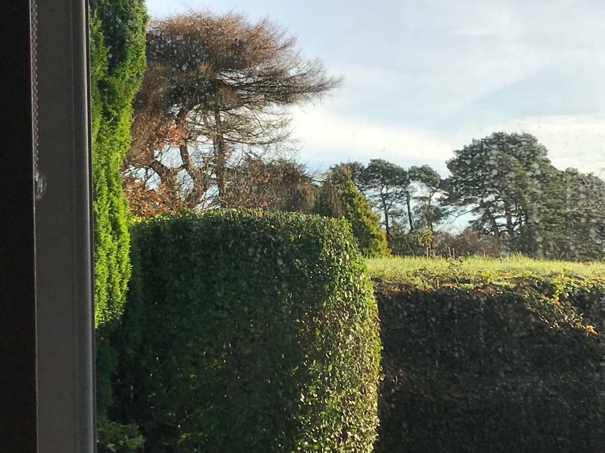 Mick'S Cottage Loughrea Luaran gambar